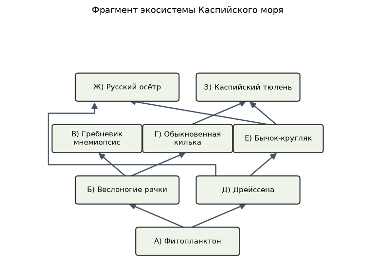 Иллюстрация к заданию 20 ОГЭ по биологии: изображение