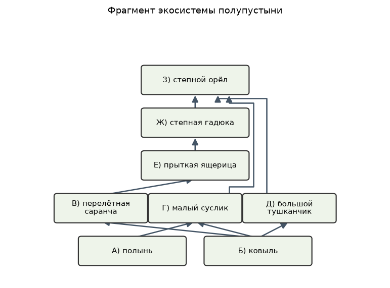 Иллюстрация к заданию 21 ОГЭ по биологии: изображение