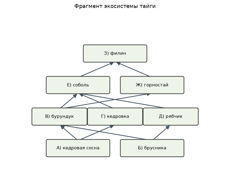 Иллюстрация к заданию 21 ОГЭ по биологии: изображение